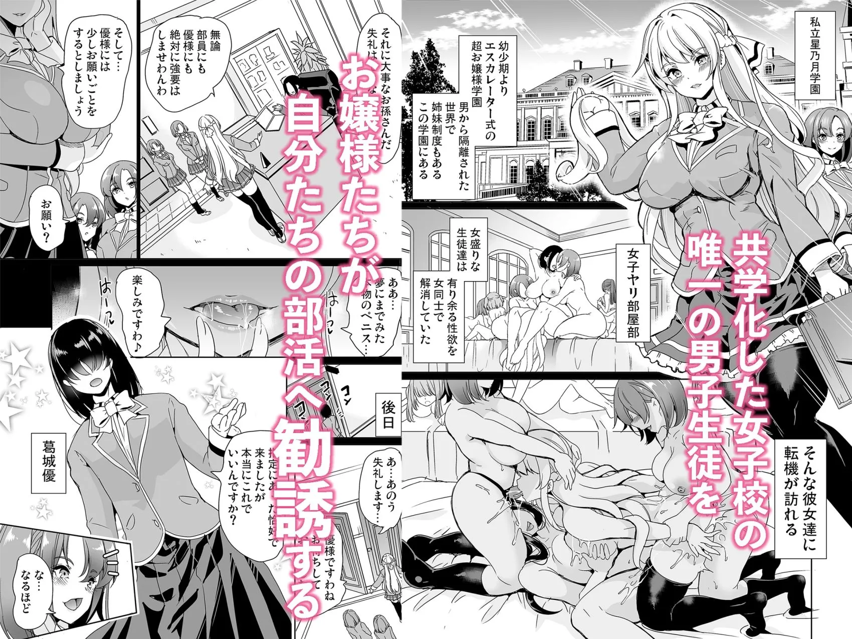 女子ヤリ部屋部の男根    〜痴女ハーレム〜  総集編