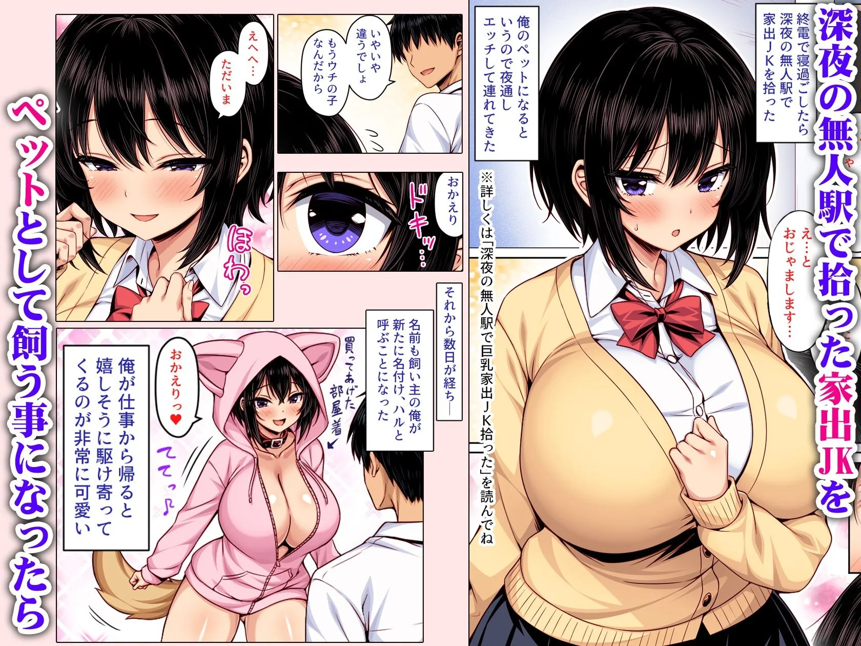 深夜の無人駅で拾った巨乳家出JKの飼い主の日常 カラー版