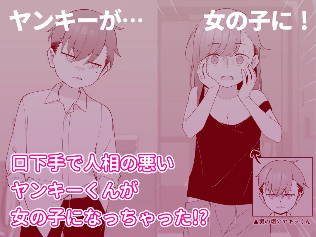 先生の彼女になる女の子になっちゃったヤンキー君 総集編完全版