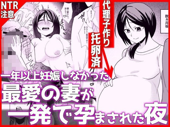 1年以上妊娠しなかった最愛の妻が一発で孕まされた夜(妊婦人妻・主婦のエロ漫画)